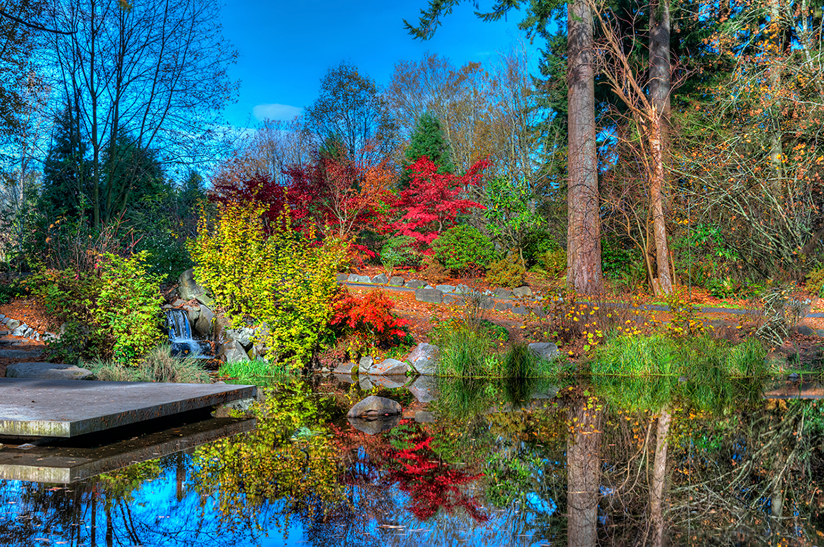 Color reflection pond